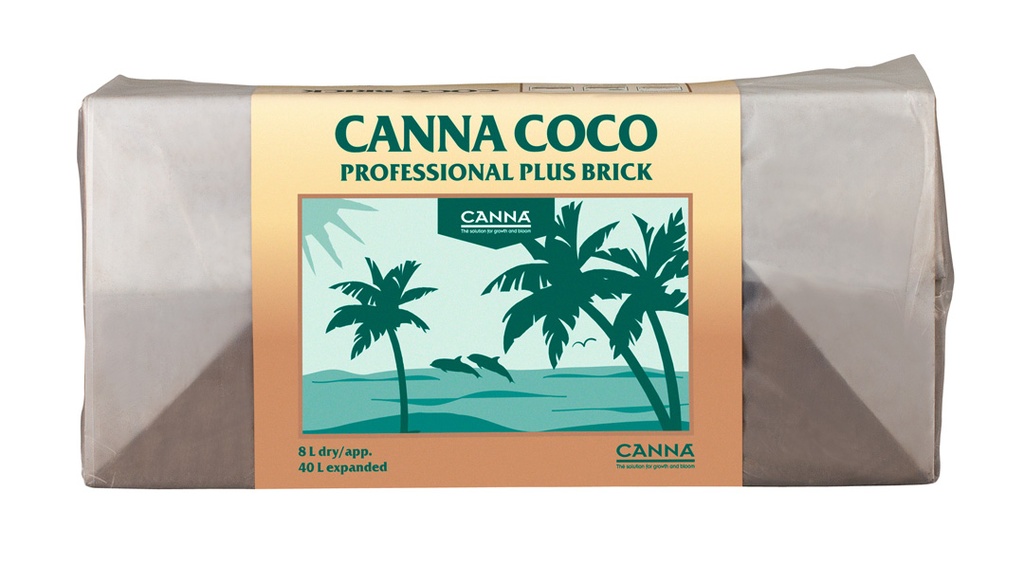 Coco Brick