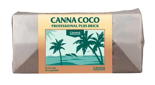 Coco Brick